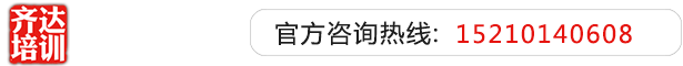 我想操逼齐达艺考文化课-艺术生文化课,艺术类文化课,艺考生文化课logo